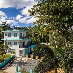 The Pad Puntas , Rincon Puerto Rico